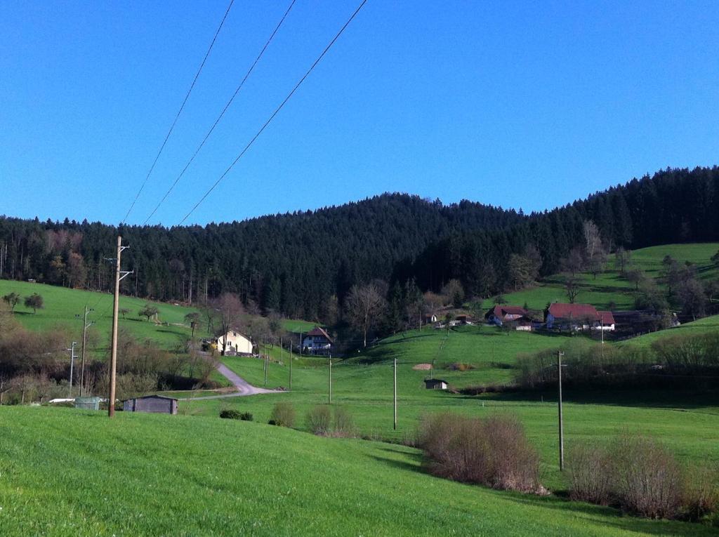 Gasthof Richebaechli Elzach Exterior photo