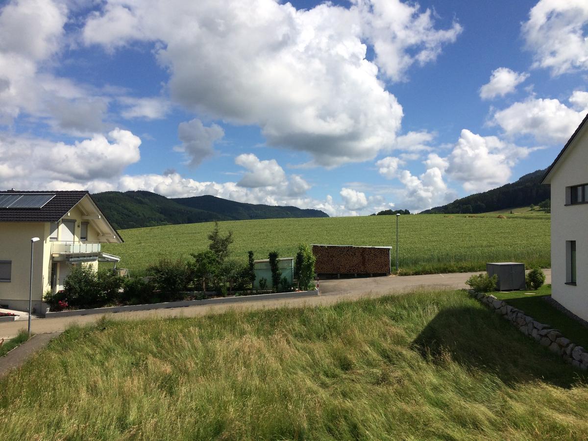 Gasthof Richebaechli Elzach Exterior photo